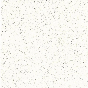 Piso 60X60 Titanium Branco Retificado